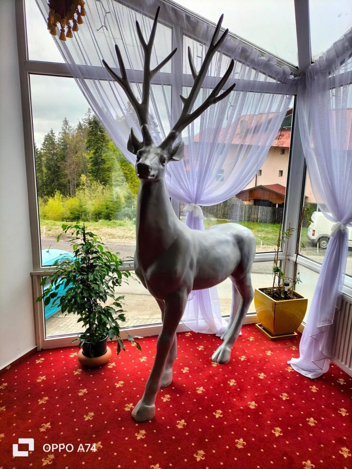 Atrium Panoramic Hotel & Spa Predeal Exteriör bild