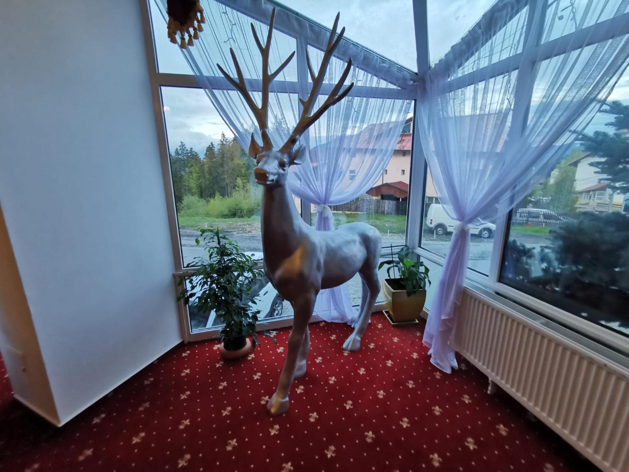 Atrium Panoramic Hotel & Spa Predeal Exteriör bild